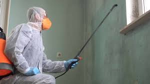 Best Mold Prevention Services in USA